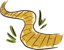 Иллюстрация к книге — Леська и людоед [i_045.jpg]