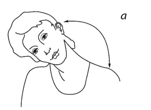 Иллюстрация к книге — Свободный разум. Практики для тела, души и духа [i_004.jpg]