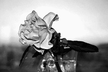 Иллюстрация к книге — Работа, деньги и любовь. Путеводитель по самореализации [_096.jpg]