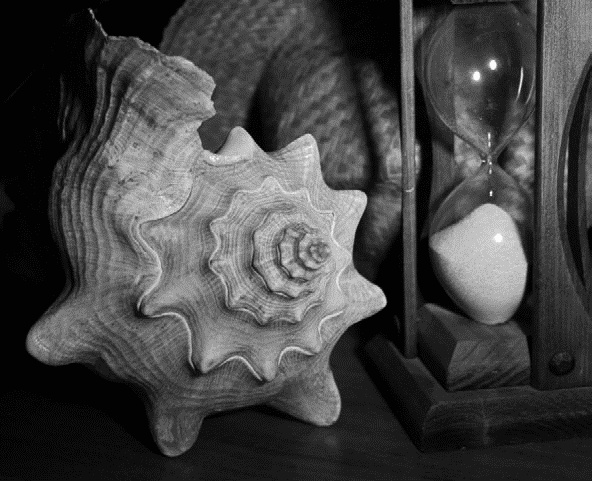 Иллюстрация к книге — Работа, деньги и любовь. Путеводитель по самореализации [_113.jpg]