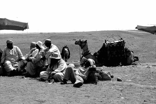 Иллюстрация к книге — Работа, деньги и любовь. Путеводитель по самореализации [_150.jpg]