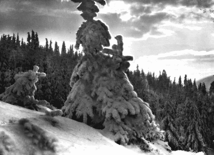 Иллюстрация к книге — Работа, деньги и любовь. Путеводитель по самореализации [_181.jpg]