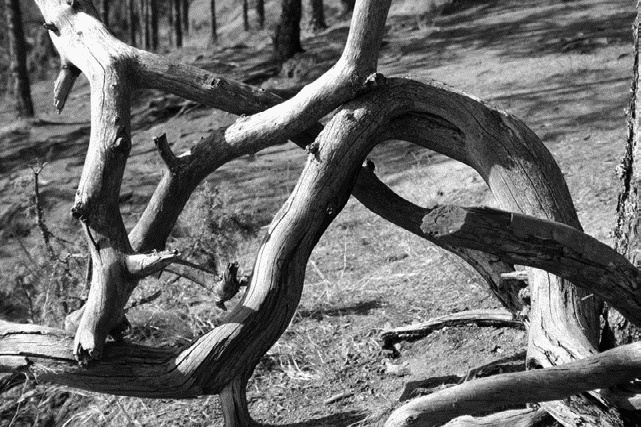 Иллюстрация к книге — Работа, деньги и любовь. Путеводитель по самореализации [_211.jpg]