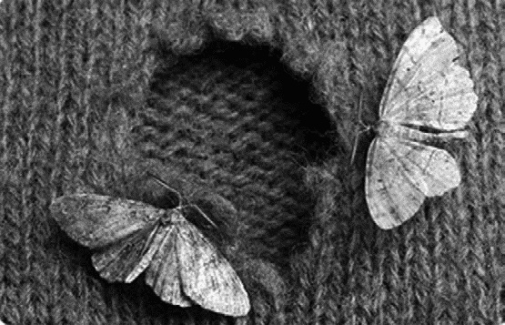 Иллюстрация к книге — Работа, деньги и любовь. Путеводитель по самореализации [_238.jpg]