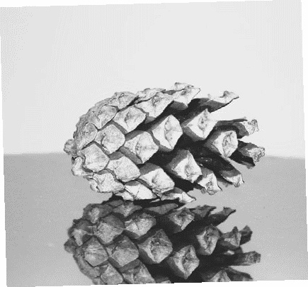 Иллюстрация к книге — Работа, деньги и любовь. Путеводитель по самореализации [_329.jpg]