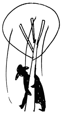 Иллюстрация к книге — Работа, деньги и любовь. Путеводитель по самореализации [_362.jpg]