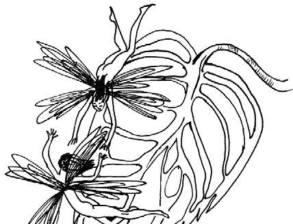 Иллюстрация к книге — Работа, деньги и любовь. Путеводитель по самореализации [_422.jpg]