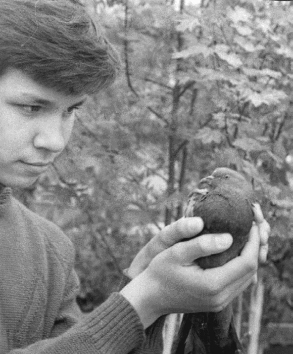 Иллюстрация к книге — Работа, деньги и любовь. Путеводитель по самореализации [_436.jpg]