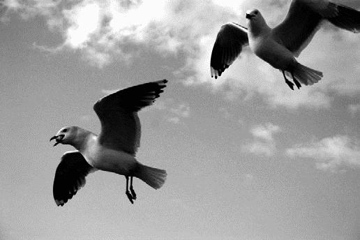 Иллюстрация к книге — Работа, деньги и любовь. Путеводитель по самореализации [_442.jpg]