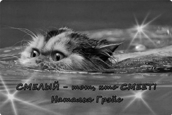 Иллюстрация к книге — Работа, деньги и любовь. Путеводитель по самореализации [_455_2.jpg]