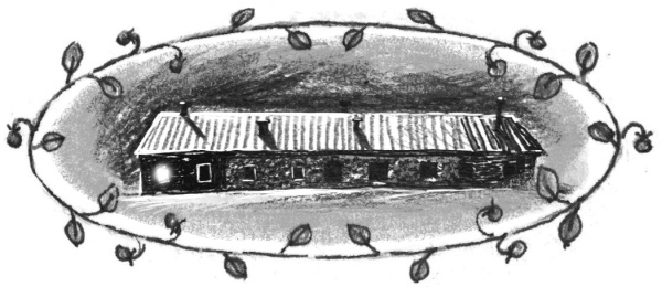 Иллюстрация к книге — Проверка на смелость [i_002.jpg]