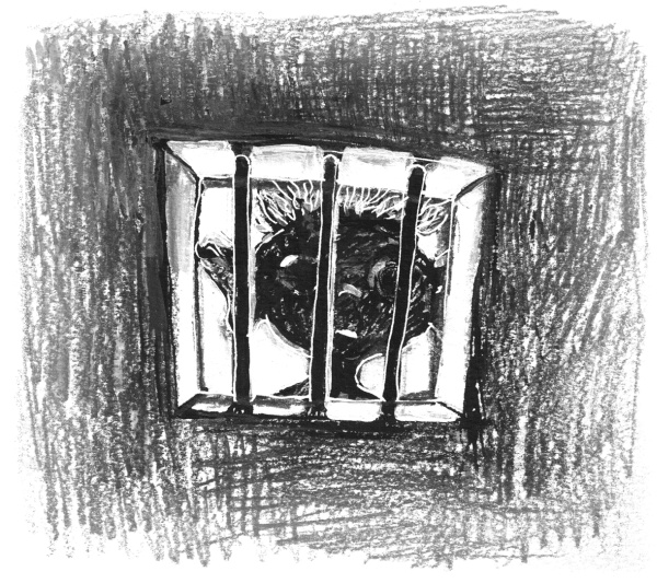 Иллюстрация к книге — Проверка на смелость [i_008.jpg]