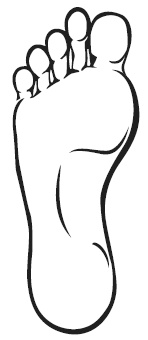 Иллюстрация к книге — Точки болезни и здоровья на ваших ступнях [Autogen_eBook_id0.jpg]