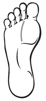 Иллюстрация к книге — Точки болезни и здоровья на ваших ступнях [Autogen_eBook_id18.jpg]