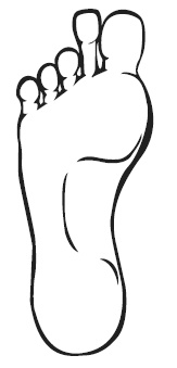 Иллюстрация к книге — Точки болезни и здоровья на ваших ступнях [Autogen_eBook_id20.jpg]