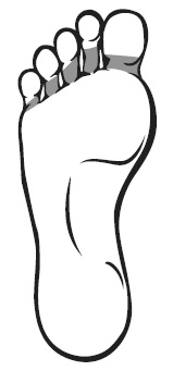 Иллюстрация к книге — Точки болезни и здоровья на ваших ступнях [Autogen_eBook_id21.jpg]