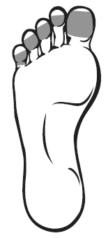 Иллюстрация к книге — Точки болезни и здоровья на ваших ступнях [Autogen_eBook_id22.jpg]