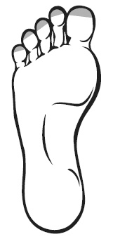 Иллюстрация к книге — Точки болезни и здоровья на ваших ступнях [Autogen_eBook_id24.jpg]