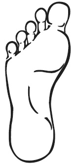 Иллюстрация к книге — Точки болезни и здоровья на ваших ступнях [Autogen_eBook_id3.jpg]