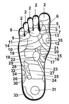 Иллюстрация к книге — Точки болезни и здоровья на ваших ступнях [Autogen_eBook_id8.jpg]