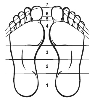 Иллюстрация к книге — Точки болезни и здоровья на ваших ступнях [Autogen_eBook_id9.jpg]