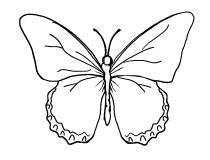 Иллюстрация к книге — Ложка йода для щитовидной железы [Autogen_eBook_id0.jpg]