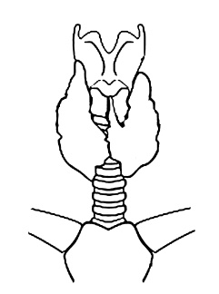 Иллюстрация к книге — Ложка йода для щитовидной железы [Autogen_eBook_id1.jpg]