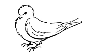 Иллюстрация к книге — Ложка йода для щитовидной железы [Autogen_eBook_id10.jpg]