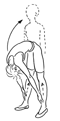 Иллюстрация к книге — Ложка йода для щитовидной железы [Autogen_eBook_id60.jpg]