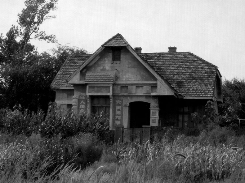 Иллюстрация к книге — Отряд Асано. Русские эмигранты в вооруженных формированиях Маньчжоу-го (1938-1945) [_55.jpg]