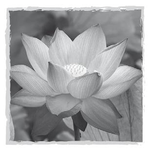 Иллюстрация к книге — Живите долго! Рецепты Аюрведы для здоровья и долголетия [i_001.jpg]