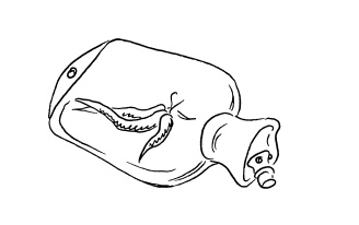 Иллюстрация к книге — Живите долго! Рецепты Аюрведы для здоровья и долголетия [i_018.jpg]