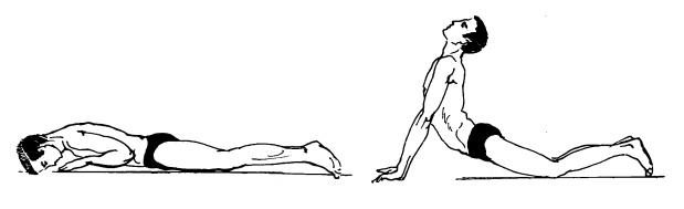 Иллюстрация к книге — Живите долго! Рецепты Аюрведы для здоровья и долголетия [i_030.jpg]