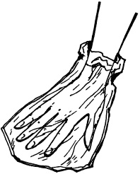 Иллюстрация к книге — Уход за телом. Краткая энциклопедия [i_040.jpg]