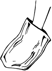 Иллюстрация к книге — Уход за телом. Краткая энциклопедия [i_041.jpg]