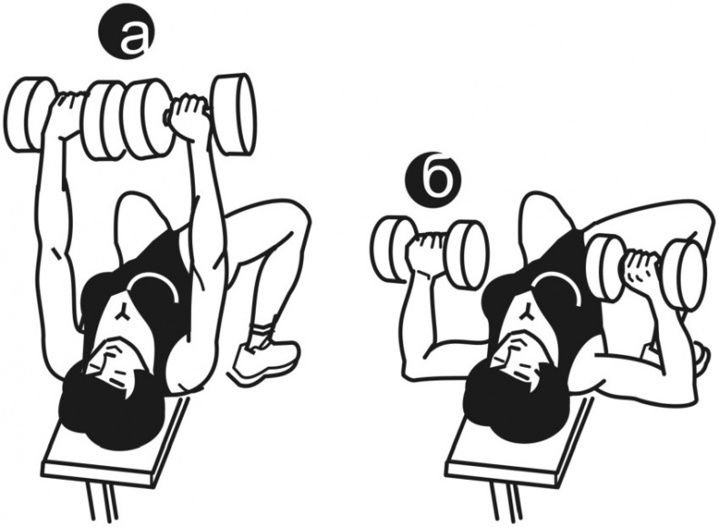 Иллюстрация к книге — Идеальный бюст. 15 минут в день для красоты и здоровья женской груди [i_001.jpg]