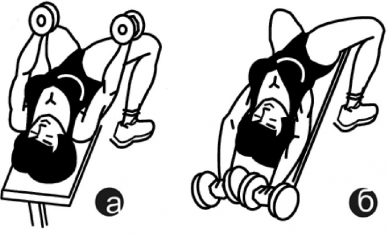 Иллюстрация к книге — Идеальный бюст. 15 минут в день для красоты и здоровья женской груди [i_004.jpg]