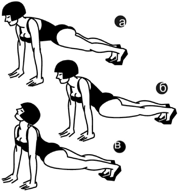 Иллюстрация к книге — Идеальный бюст. 15 минут в день для красоты и здоровья женской груди [i_008.jpg]