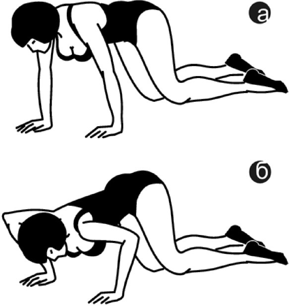 Иллюстрация к книге — Идеальный бюст. 15 минут в день для красоты и здоровья женской груди [i_010.jpg]