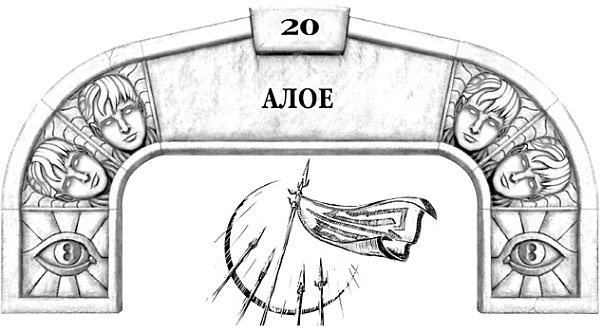 Иллюстрация к книге — Архив Буресвета. Книга 1. Путь королей [_39.jpg]