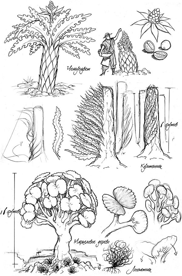 Иллюстрация к книге — Архив Буресвета. Книга 1. Путь королей [_94.jpg]