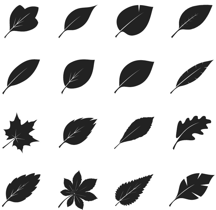 Иллюстрация к книге — Супертренажер памяти. Книга-тренажер для вашего мозга [_137.jpg]