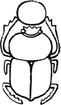 Иллюстрация к книге — Думалогия. Обучение через приключения в Египте [i_022.jpg]