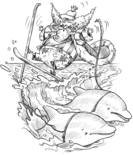 Иллюстрация к книге — Сверкающий берег [_055.jpg]