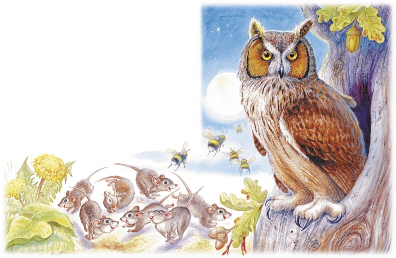 Иллюстрация к книге — Приключения Муравьишки [i_002.jpg]