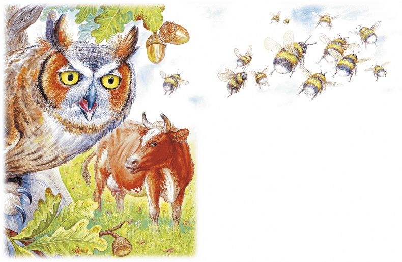 Иллюстрация к книге — Приключения Муравьишки [i_003.jpg]