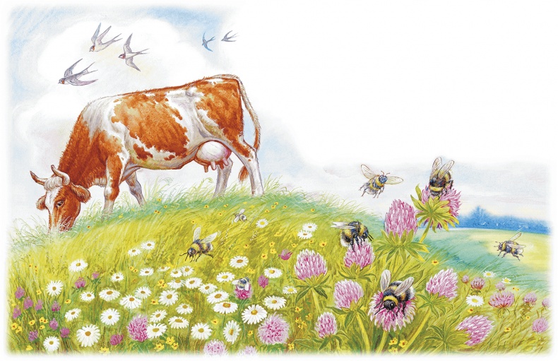 Иллюстрация к книге — Приключения Муравьишки [i_005.jpg]