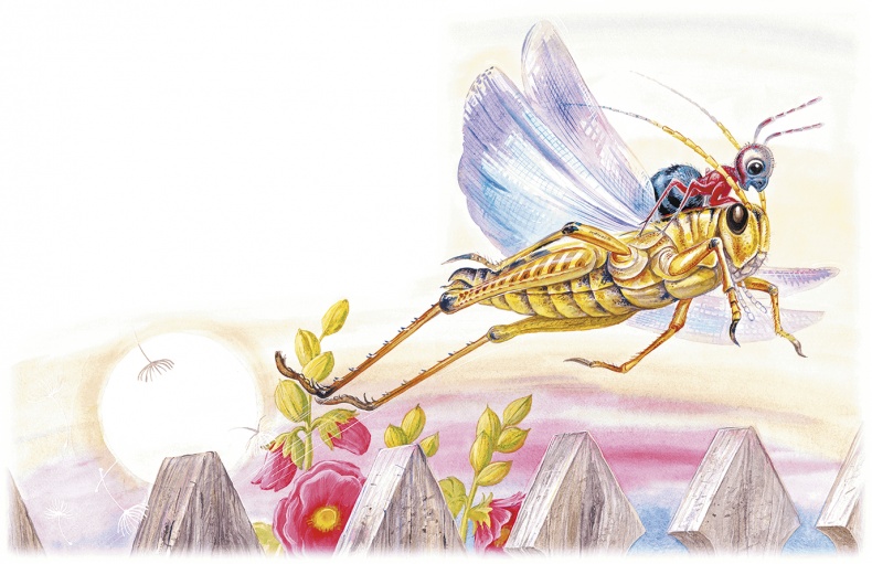 Иллюстрация к книге — Приключения Муравьишки [i_024.jpg]