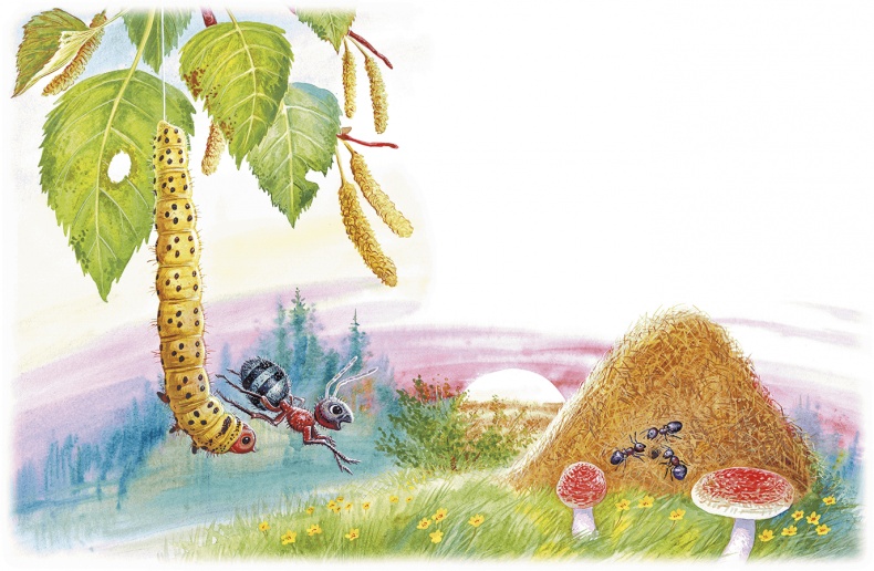 Иллюстрация к книге — Приключения Муравьишки [i_028.jpg]