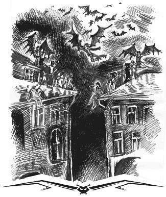 Иллюстрация к книге — Влада. Бал Темнейшего [i_010.jpg]